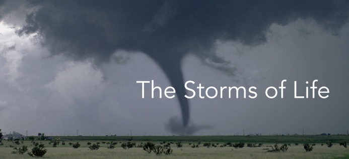 The Storms Of Life poster
