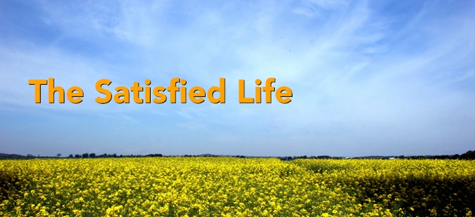 The Satisfied Life poster