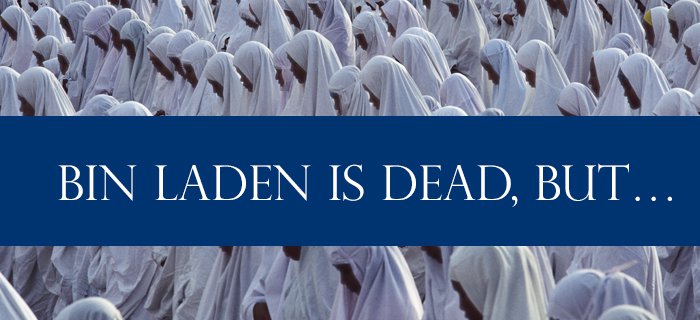 Bin Laden Is Dead, But… poster