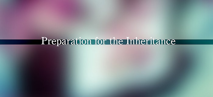 Preparation For The Inheritance poster