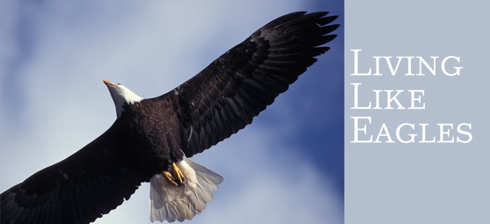 Living Like Eagles poster