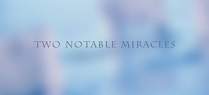 Two Notable Miracles poster